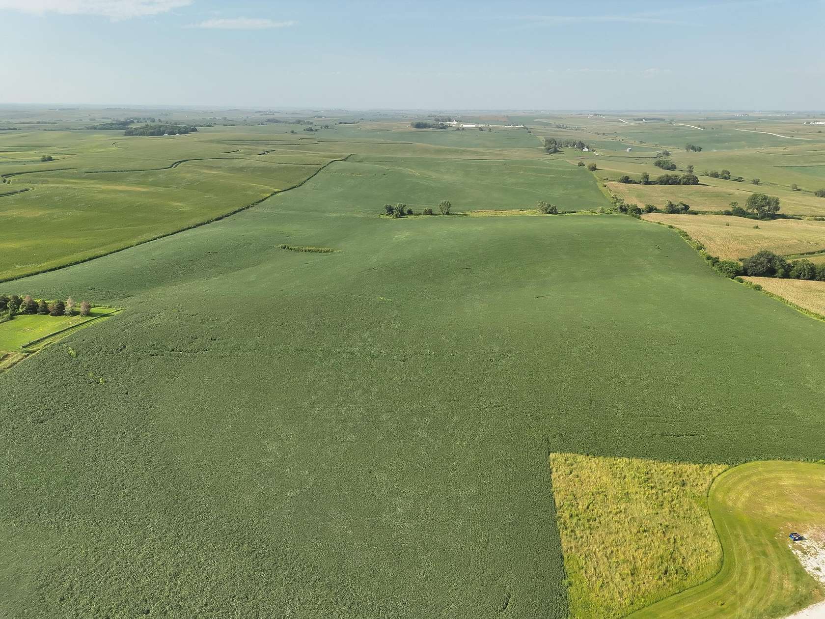 113 Acres of Agricultural Land for Sale in Oakland, Iowa