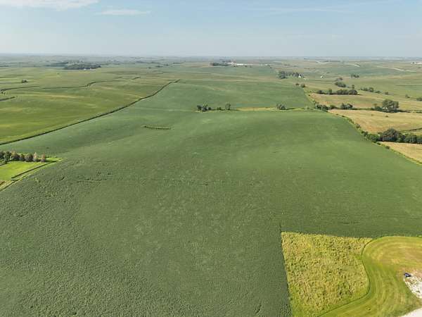 113 Acres of Agricultural Land for Sale in Oakland, Iowa