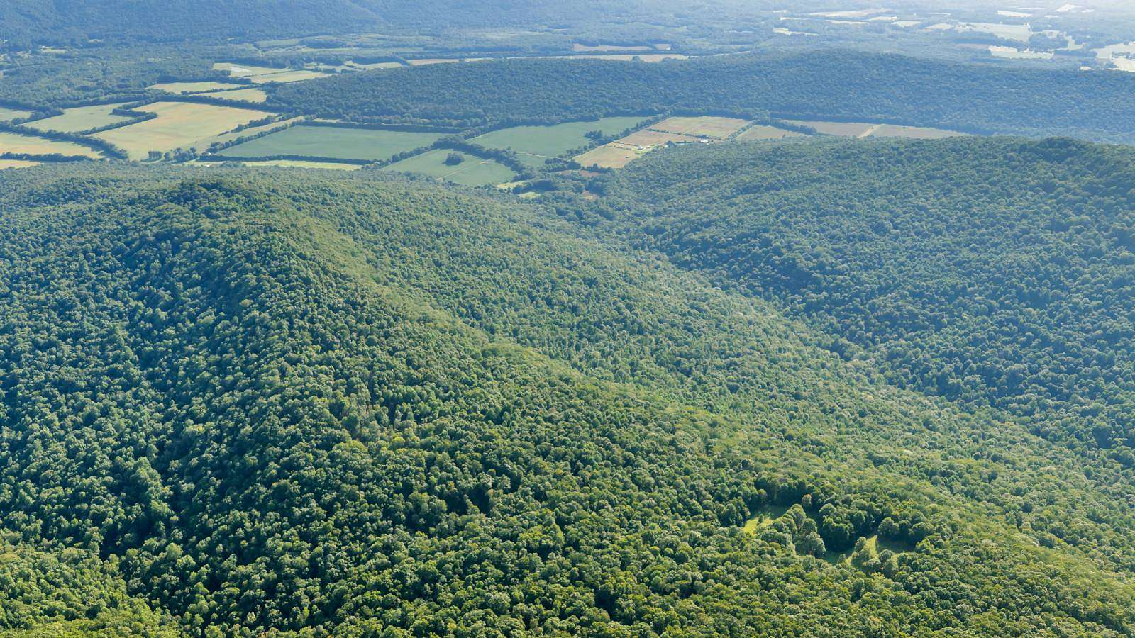 339 Acres of Recreational Land for Sale in Stevenson, Alabama