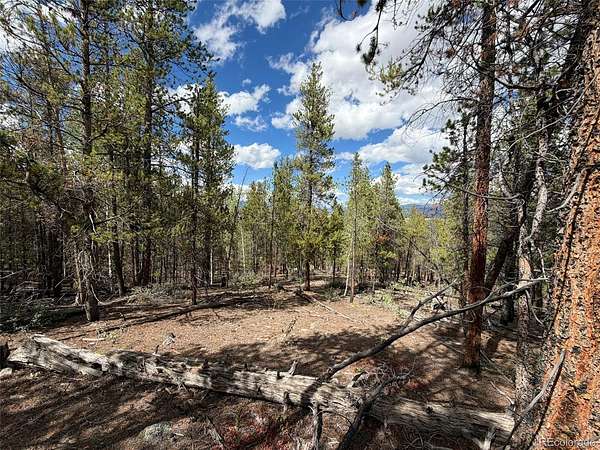 0.46 Acres of Residential Land for Sale in Twin Lakes, Colorado