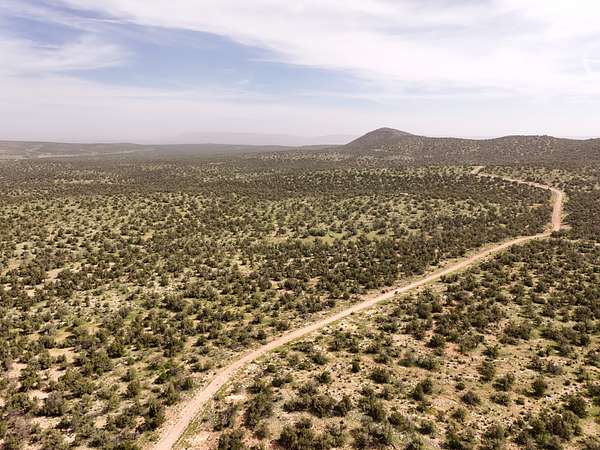46.2 Acres of Recreational & Residential Land for Sale in Seligman, Arizona