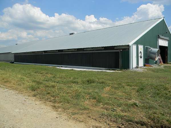 53 Acres of Agricultural & Residential Land for Sale in Shelbyville, Tennessee