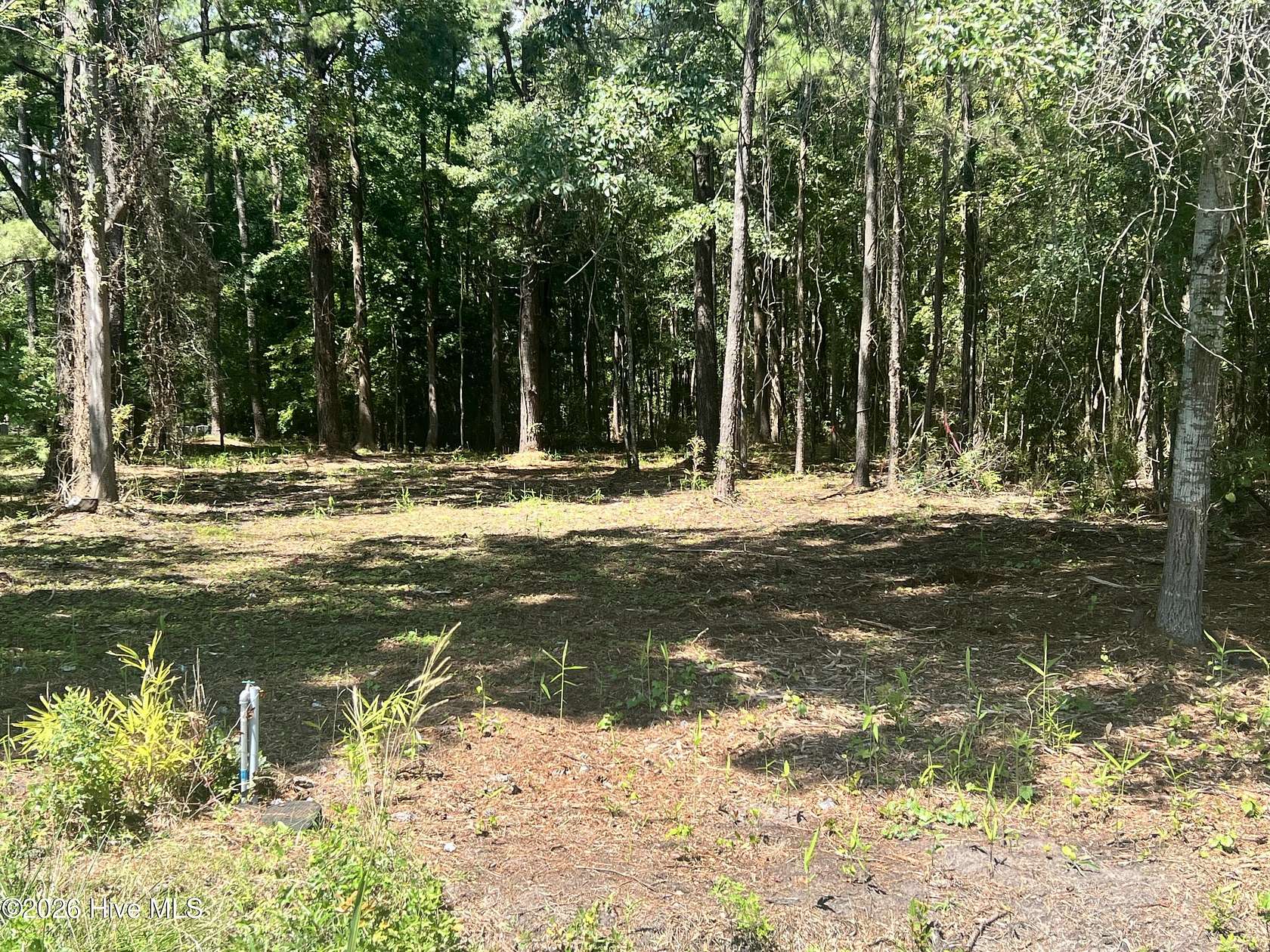 0.24 Acres of Residential Land for Sale in Belhaven, North Carolina