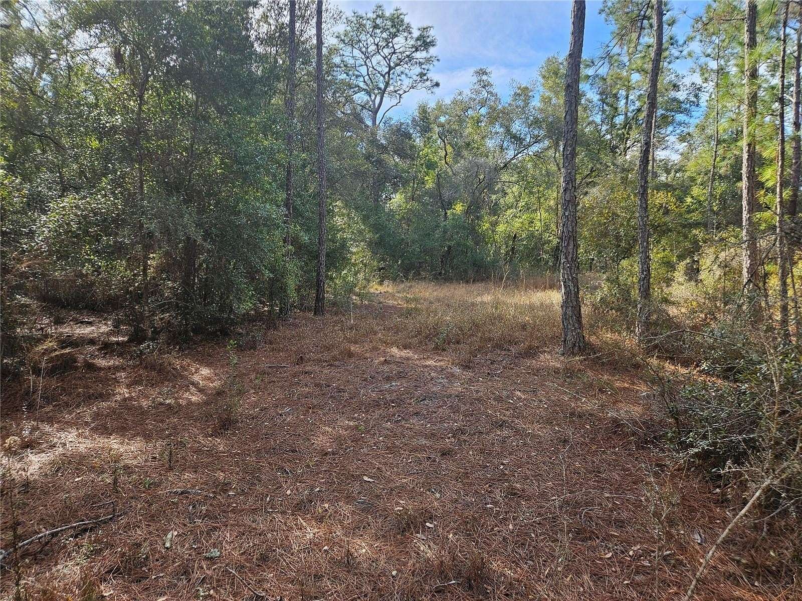 1.16 Acres of Residential Land for Sale in Webster, Florida