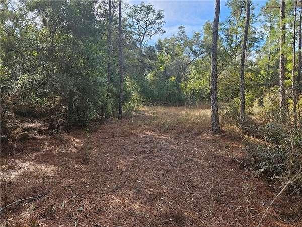 1.16 Acres of Residential Land for Sale in Webster, Florida
