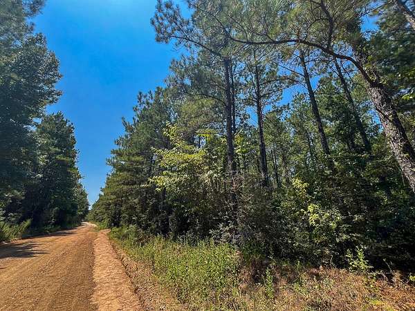 33 Acres of Recreational Land for Sale in Colmesneil, Texas