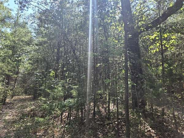 100 Acres of Recreational & Residential Land for Sale in Pamplin City, Virginia