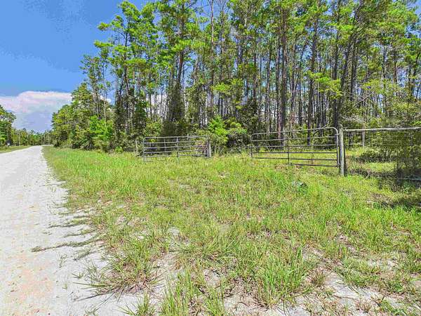 3.16 Acres of Residential Land for Sale in Perry, Florida