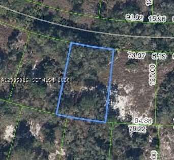 0.22 Acres of Land for Sale in Lake Placid, Florida