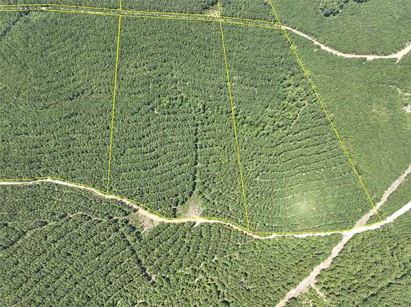 32 Acres of Recreational Land for Sale in Colmesneil, Texas