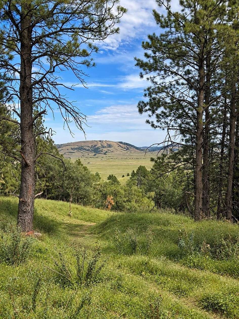20 Acres of Recreational Land for Sale in Spearfish, South Dakota