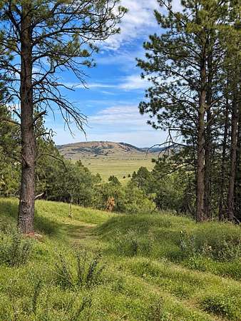20 Acres of Recreational Land for Sale in Spearfish, South Dakota