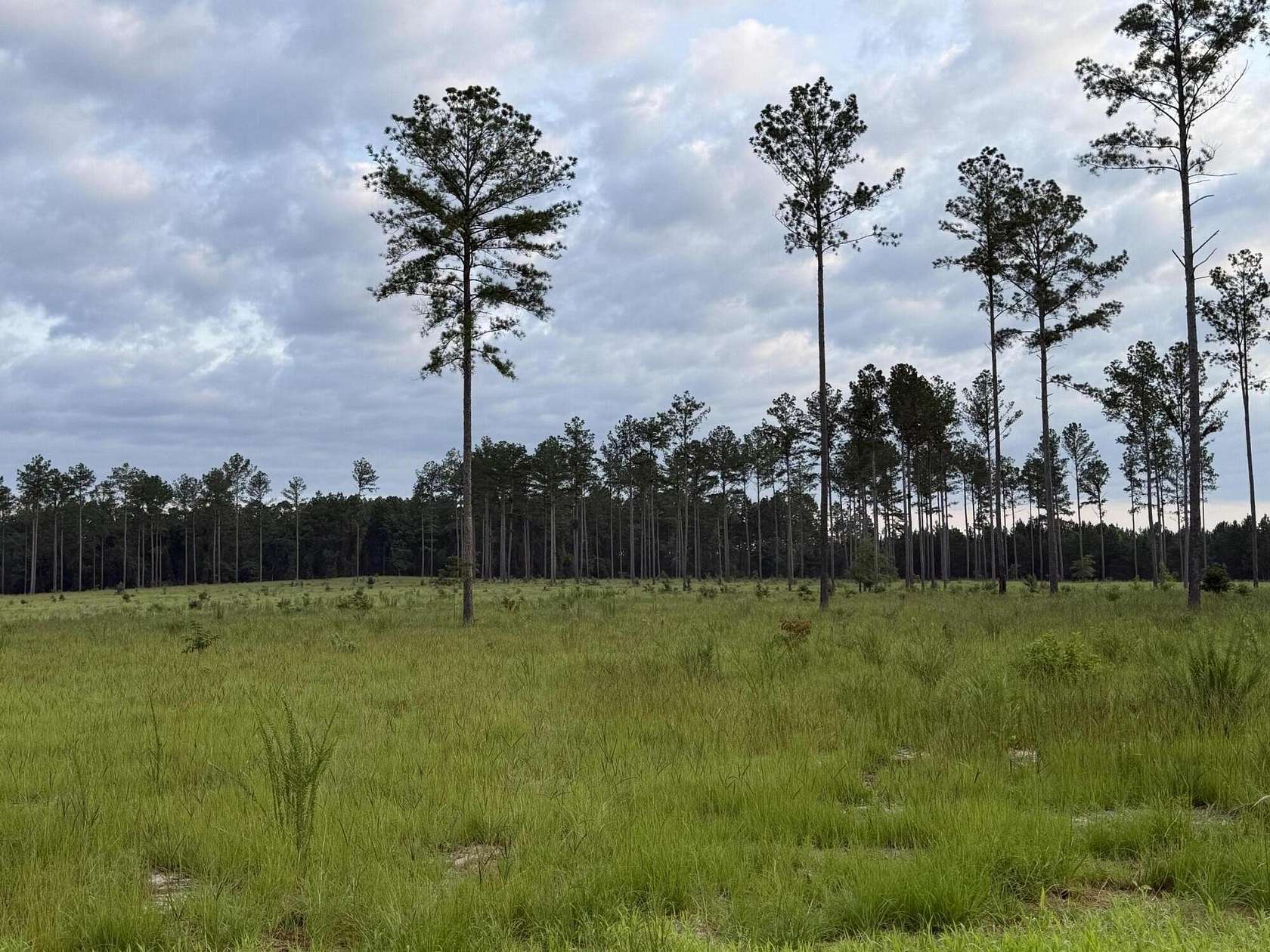 11 Acres of Land for Sale in Aiken, South Carolina