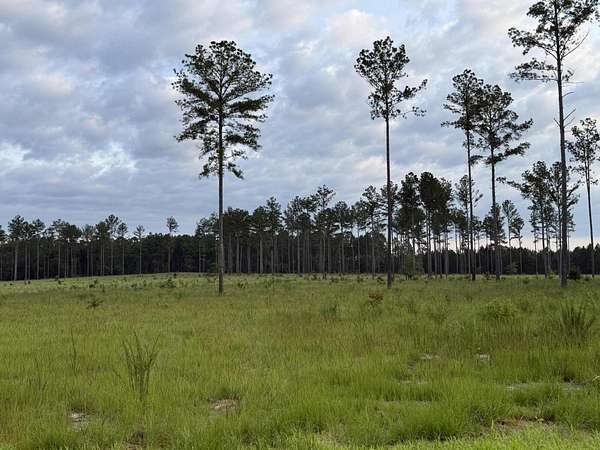 11 Acres of Land for Sale in Aiken, South Carolina
