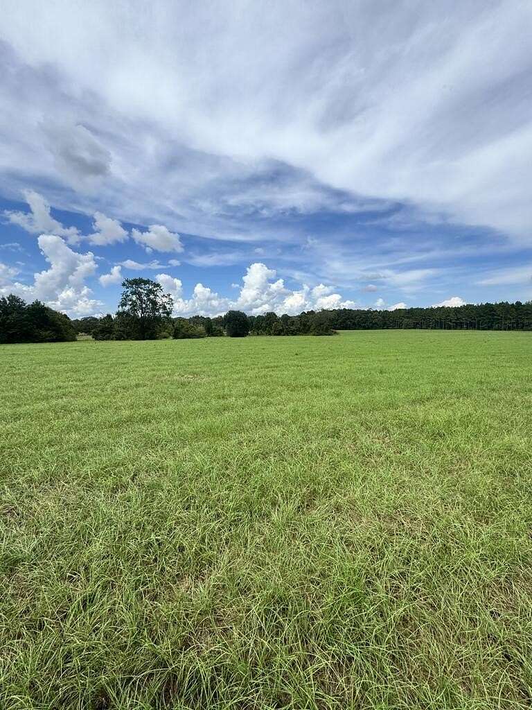 33.1 Acres of Agricultural Land for Sale in Dothan, Alabama