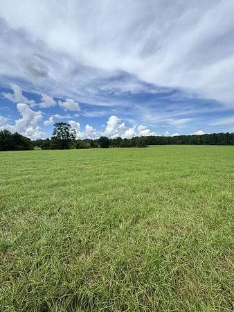 33.1 Acres of Agricultural Land for Sale in Dothan, Alabama
