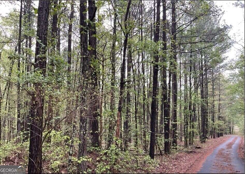 5.8 Acres of Residential Land for Sale in Colbert, Georgia