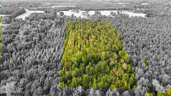 11.5 Acres of Recreational & Residential Land for Sale in Columbus, Mississippi