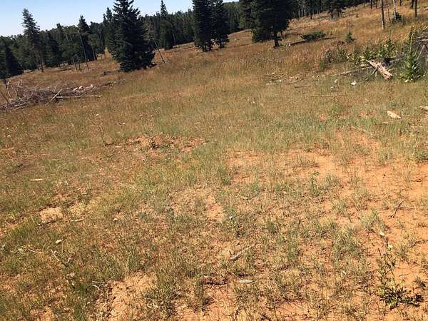 225 Acres of Land for Sale in Duck Creek Village, Utah