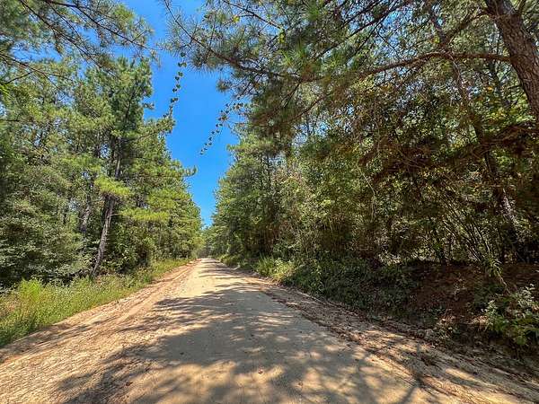 32 Acres of Recreational Land for Sale in Colmesneil, Texas