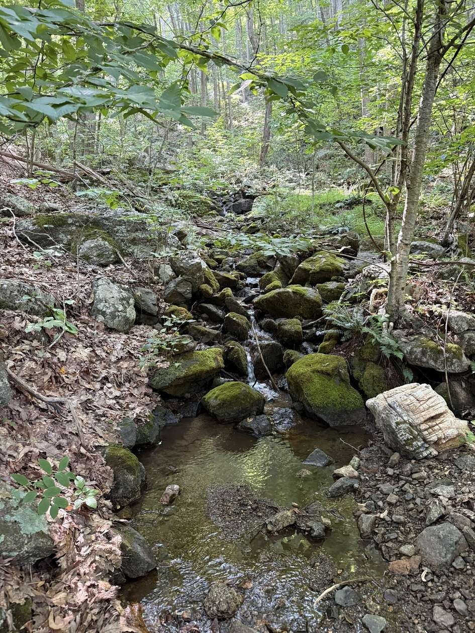 4 Acres of Land for Sale in Vesuvius, Virginia