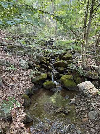 4 Acres of Land for Sale in Vesuvius, Virginia