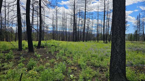 9.46 Acres of Residential Land for Sale in Kettle Falls, Washington