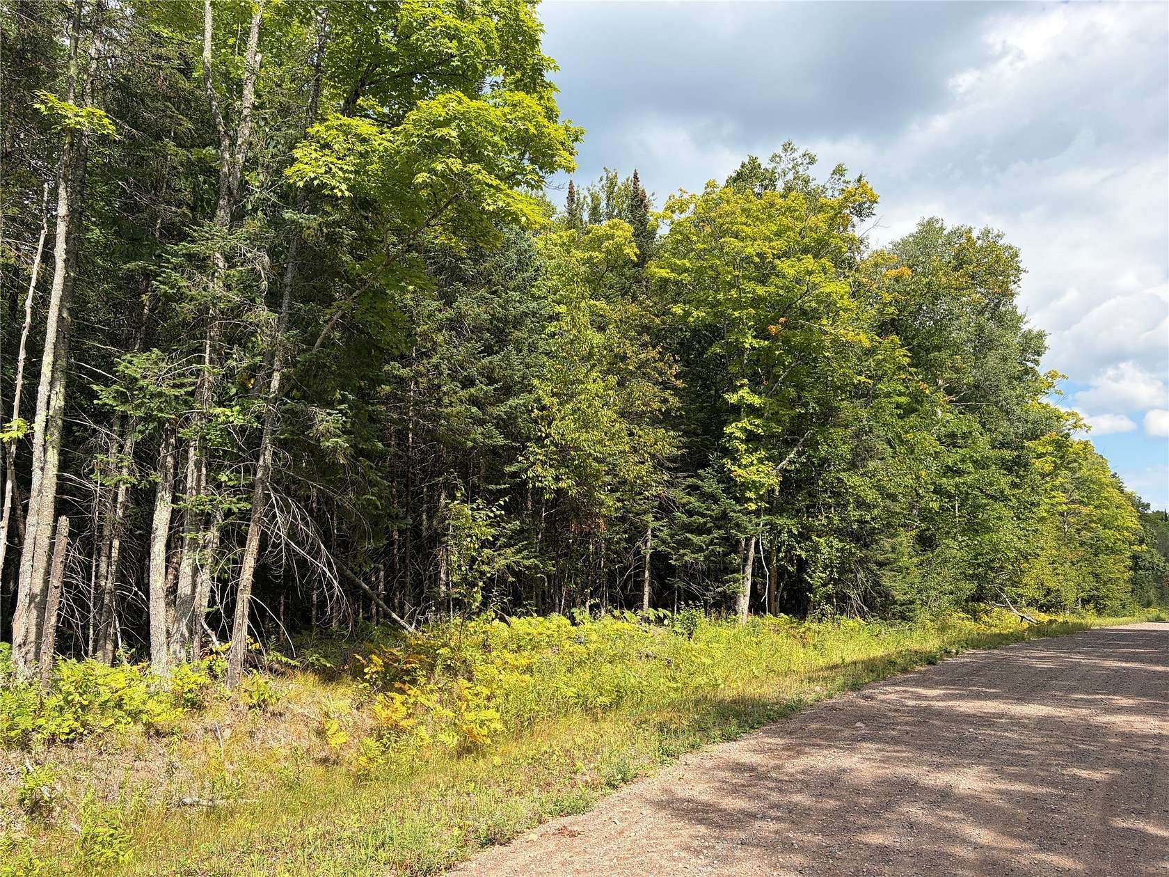 920 Acres of Recreational Land for Sale in Glidden, Wisconsin