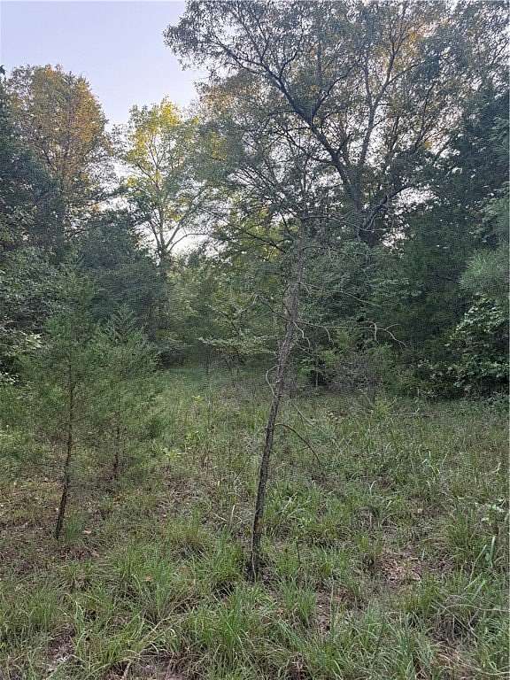10 Acres of Residential Land for Sale in Dover, Arkansas