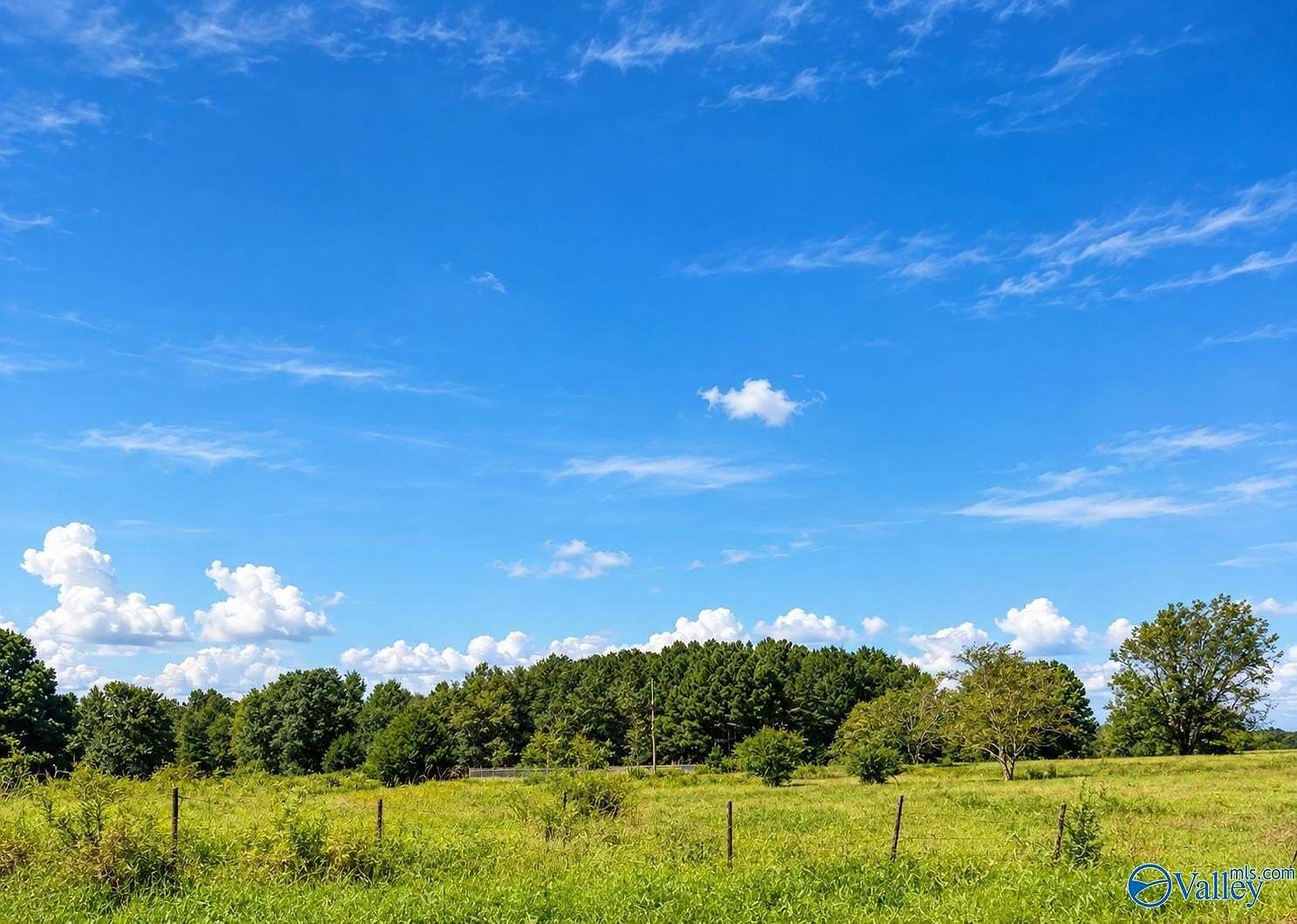 53 Acres of Recreational Land for Sale in Albertville, Alabama