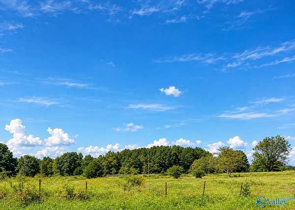 53 Acres of Recreational Land for Sale in Albertville, Alabama