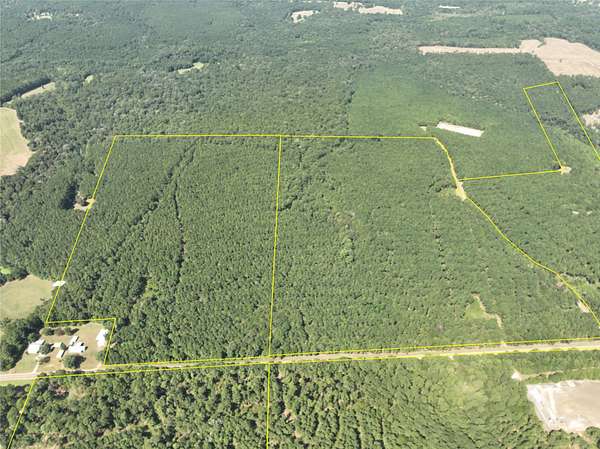57 Acres of Land for Sale in Woodville, Texas