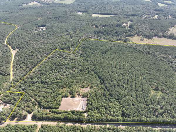 72 Acres of Land for Sale in Woodville, Texas