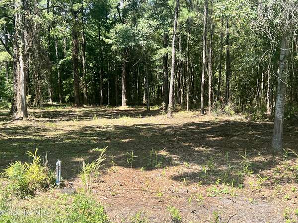 0.26 Acres of Residential Land for Sale in Belhaven, North Carolina
