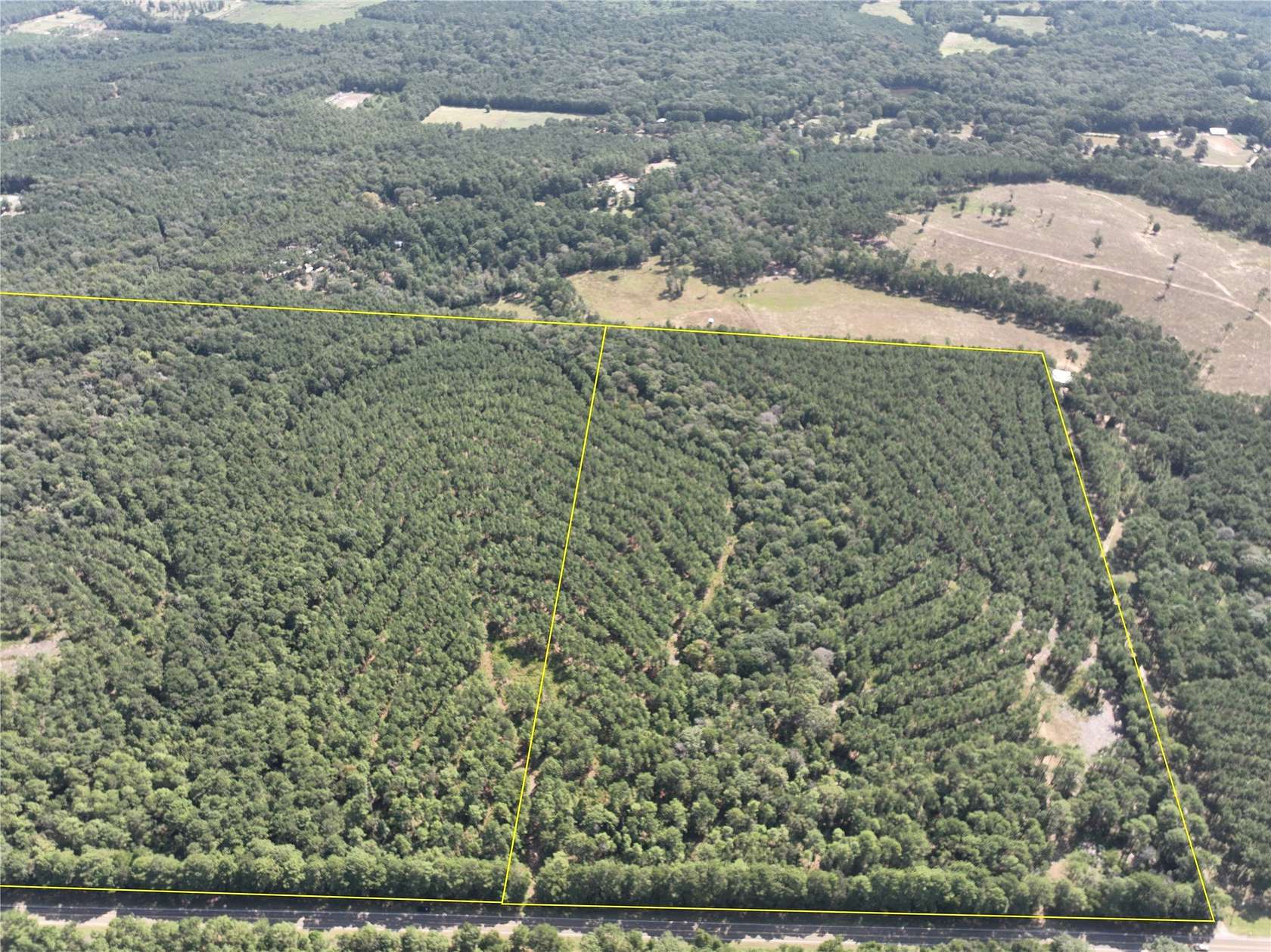 54 Acres of Land for Sale in Woodville, Texas