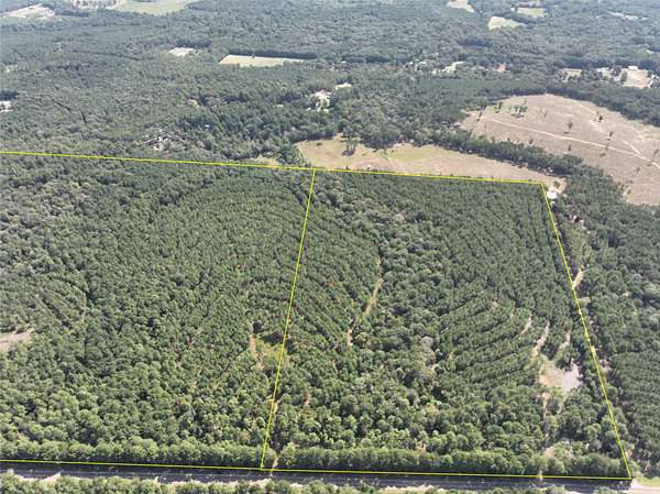54 Acres of Land for Sale in Woodville, Texas