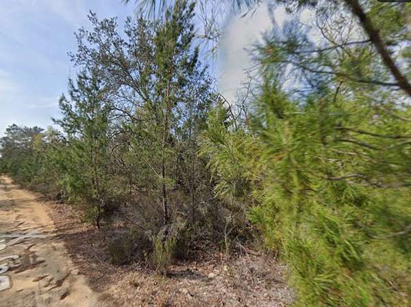 0.22 Acres of Residential Land for Sale in Interlachen, Florida