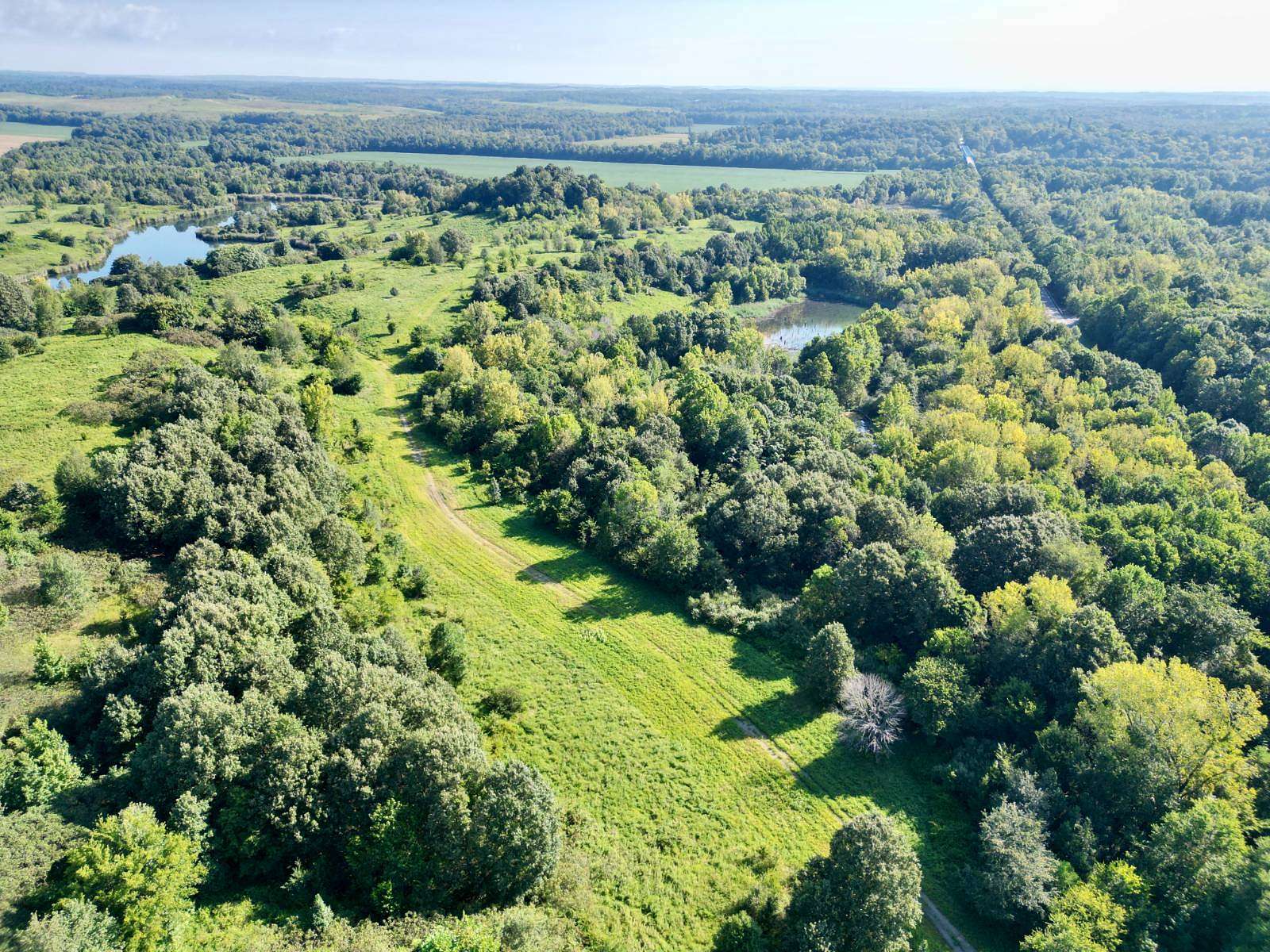 351 Acres of Recreational & Residential Land for Auction in Central City, Kentucky