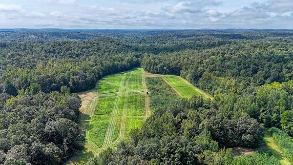 192 Acres of Recreational Land for Sale in Big Sandy, Tennessee