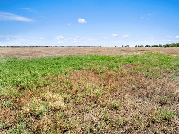 336 Acres of Land for Sale in Ordway, Colorado