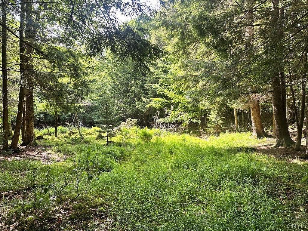 3.2 Acres of Residential Land for Sale in Inlet, New York