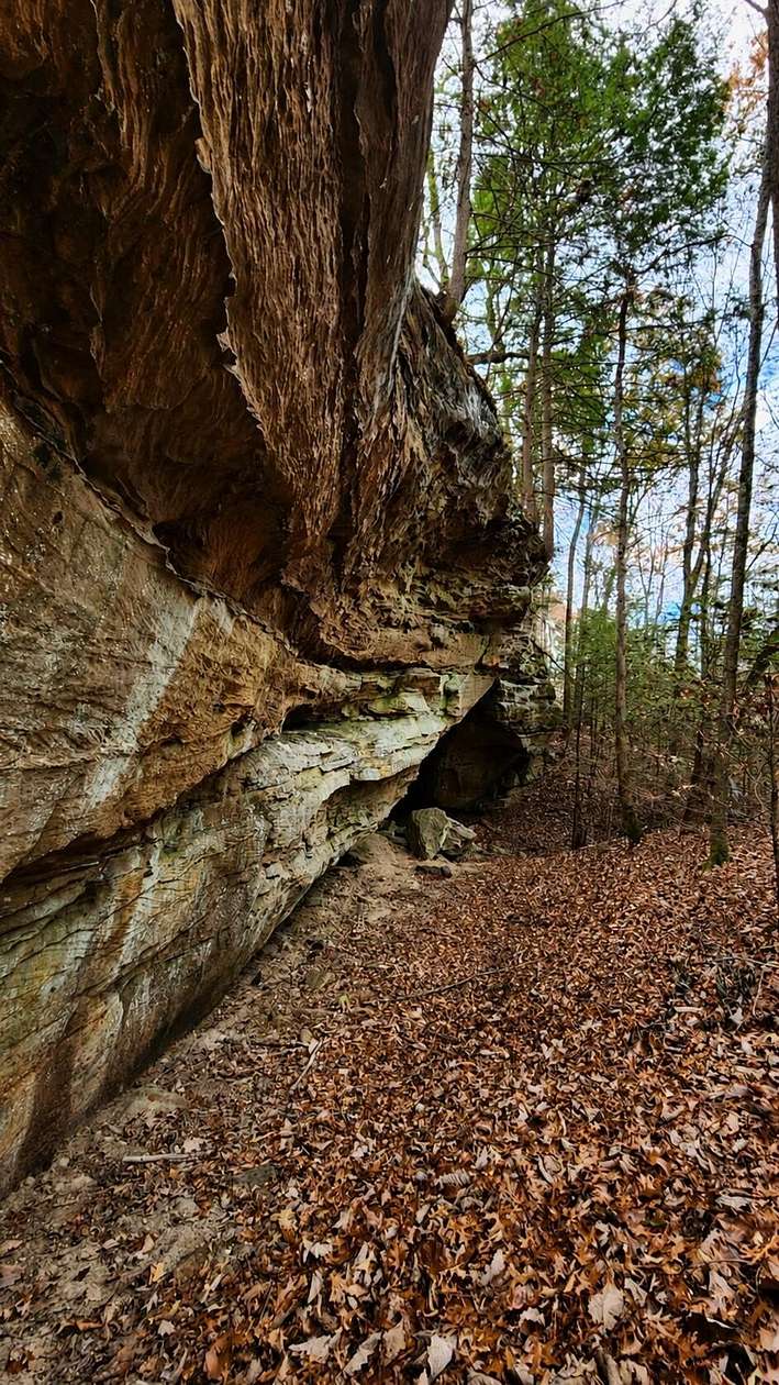 10 Acres of Recreational & Residential Land for Sale in East Bernstadt, Kentucky