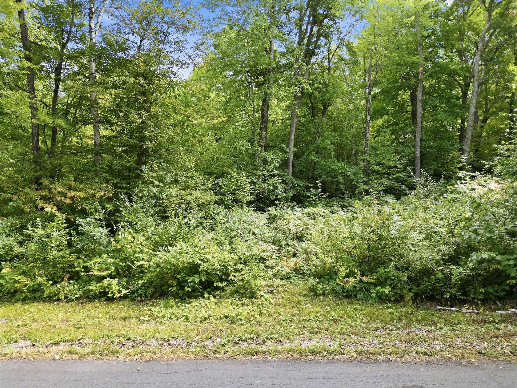 5.64 Acres of Land for Sale in Hayward, Wisconsin