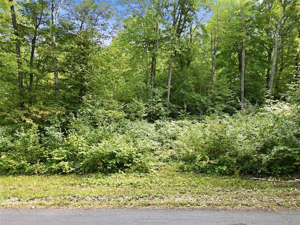 5.64 Acres of Land for Sale in Hayward, Wisconsin
