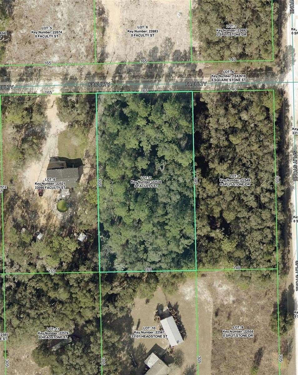 1.16 Acres of Residential Land for Sale in Webster, Florida