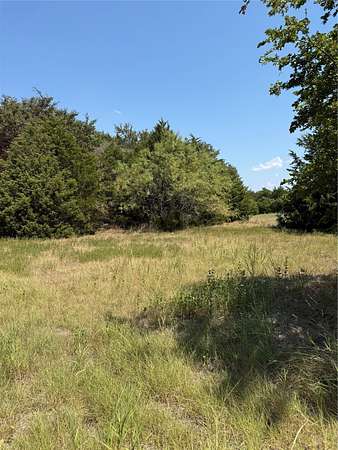 21.4 Acres of Land for Sale in Wills Point, Texas
