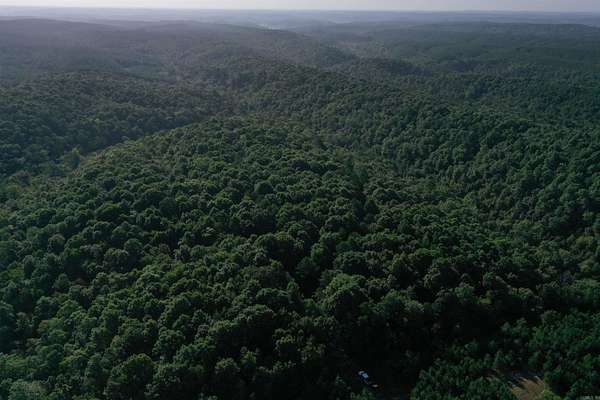 80 Acres of Recreational Land for Sale in Grannis, Arkansas
