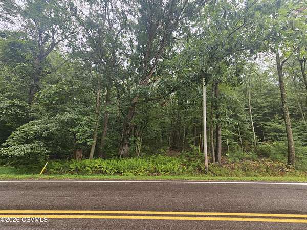 4.46 Acres of Mixed-Use Land for Sale in Wapwallopen, Pennsylvania