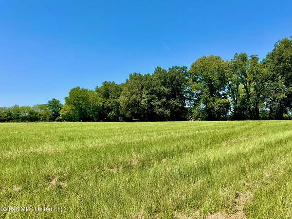 6 Acres of Land for Sale in Canton, Mississippi