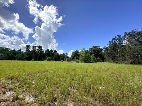10.2 Acres of Land for Sale in Paisley, Florida